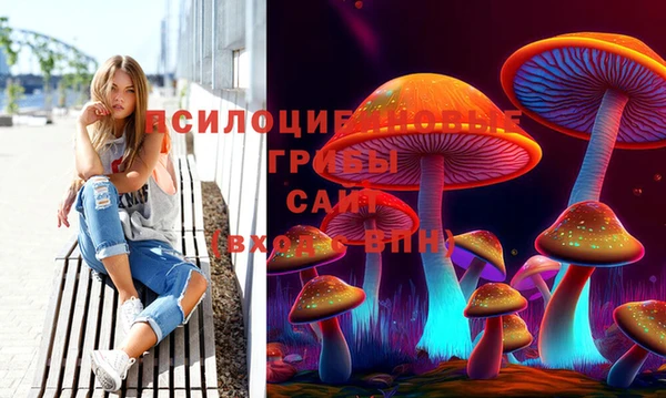 твердый Волоколамск