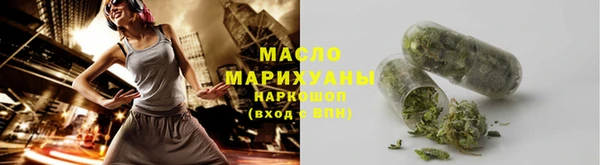 мдпв Бородино