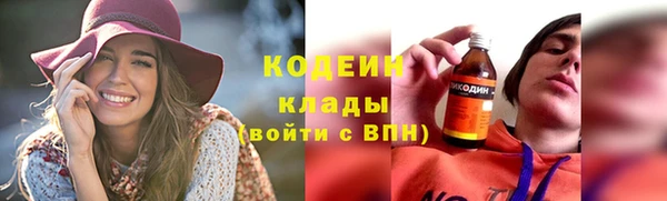 мдпв Бородино