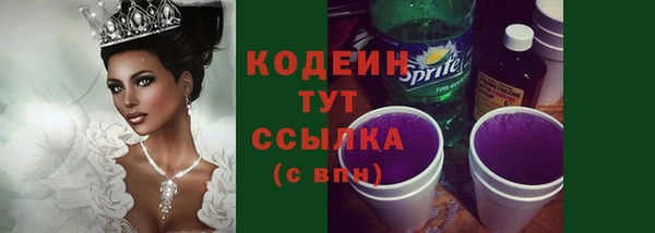 мдпв Бородино