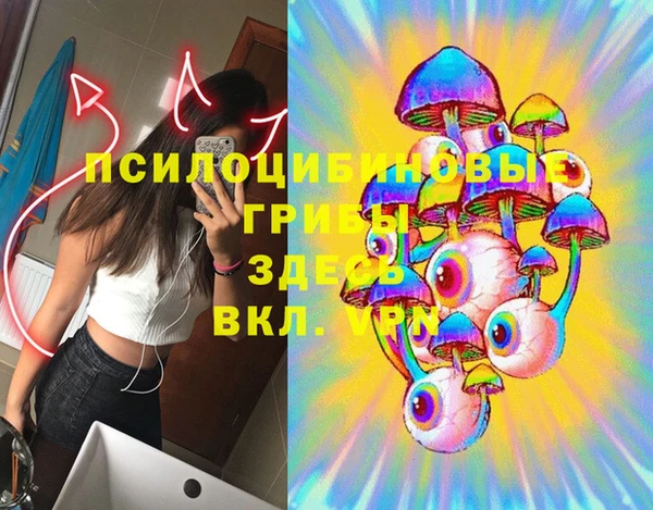 мдпв Бородино