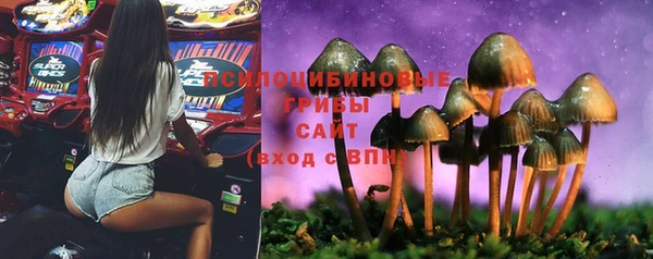 а пвп мука Бронницы