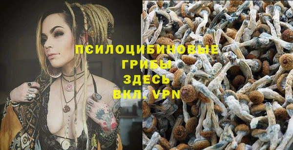а пвп мука Бронницы
