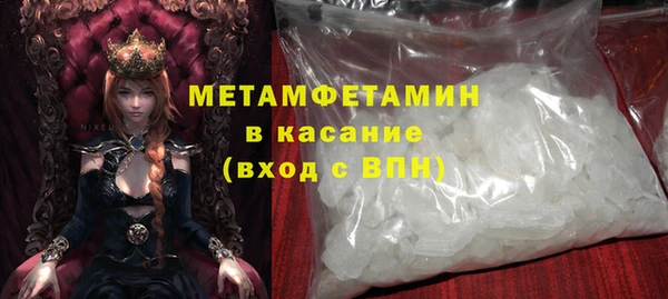 прущие грибы Волосово