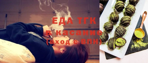 мдпв Бородино