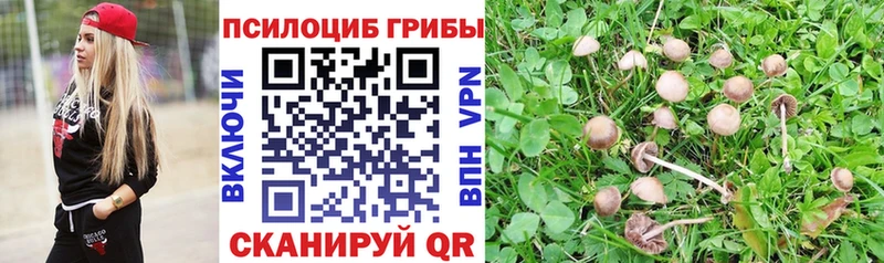 МЕГА ссылка  Ельня  Псилоцибиновые грибы Magic Shrooms 